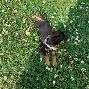 Meet your Posher, Isabella